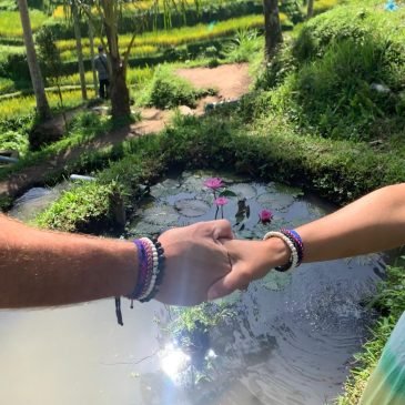 WhatsApp Image 2026-02-16 at 20.54.00